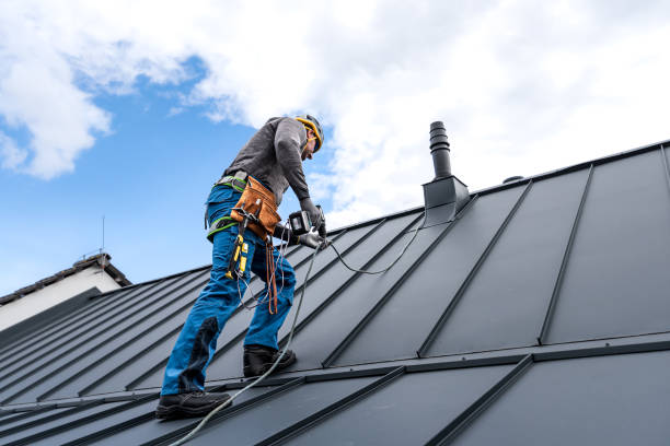 Best Asphalt Shingles Roofing  in Woodbury, MN